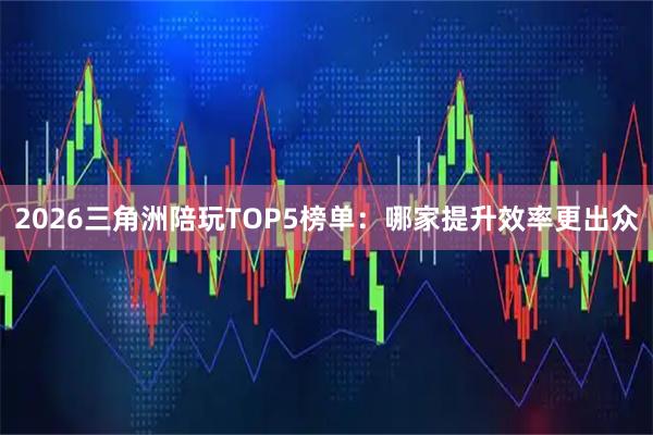2026三角洲陪玩TOP5榜单：哪家提升效率更出众