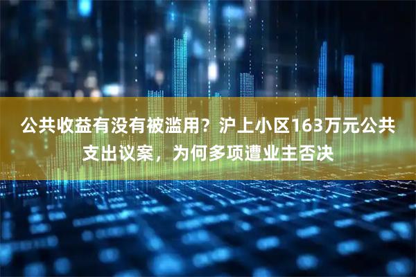 公共收益有没有被滥用？沪上小区163万元公共支出议案，为何多项遭业主否决